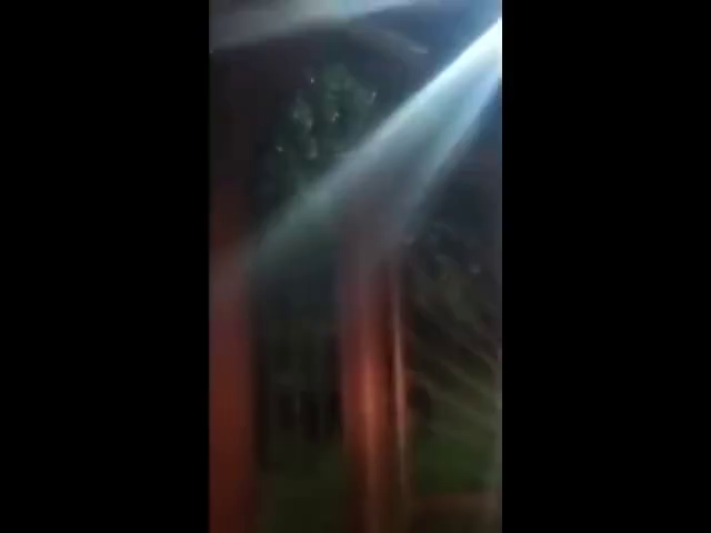 Kétszer kellett közbelépniük a kórház mellett felbukkant medve miatt a csíkszeredai csendőröknek