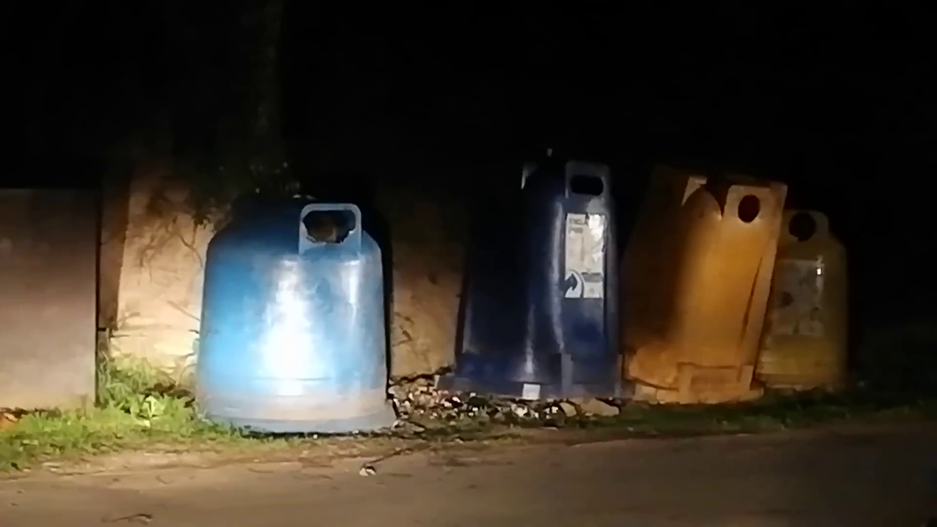 Ha megjelenik a nagyobb, menekülnie kell a kisebb medvének