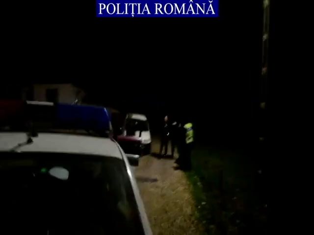 Dámszarvast lőttek le