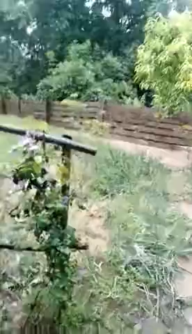 A főúton és kertekben hömpölygött a víz Székelypeteken