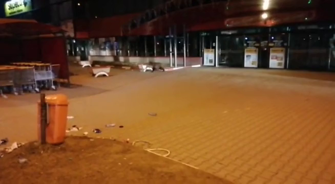 Gyergyószentmiklósi bevásárlóközpontnál járt egy medve