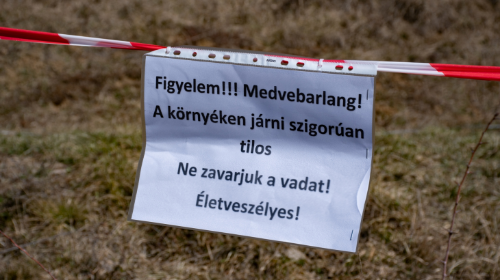Kerülni kell a környéket, mert az agresszív anyamedve bárkire rátámadhat