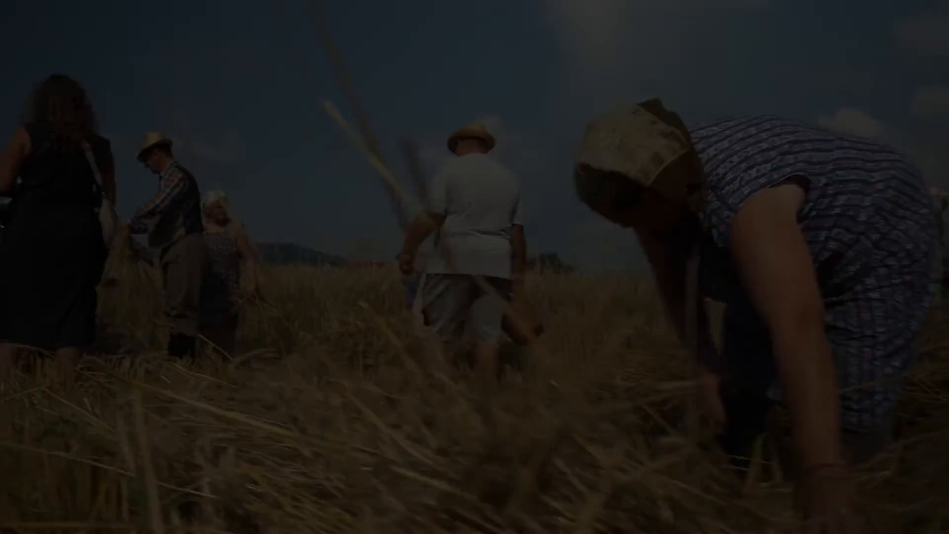 Délelőtt arattak, délután tüzet oltottak a csíkszentkirályi faluünnepen