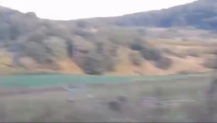 Villanypásztorba gabalyodott szarvasbikát szabadítottak ki Kissolymosnál