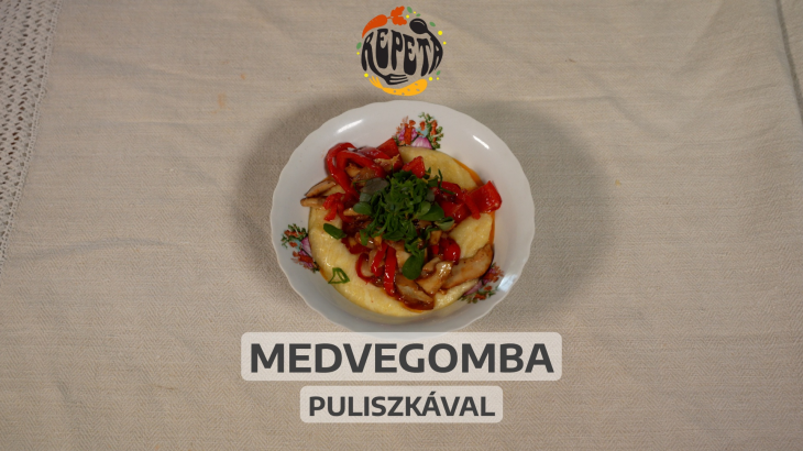 Medvegomba puliszkával | Repeta